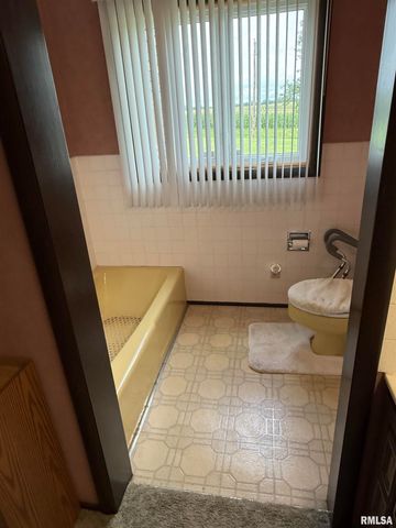 8323 E Briney Road, Ipava, IL 61441