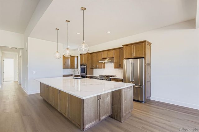 462 Agoseris Way, Castle Rock, CO 80104