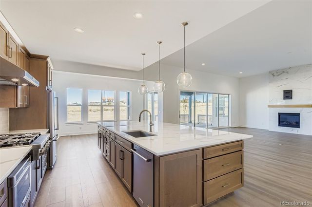 462 Agoseris Way, Castle Rock, CO 80104