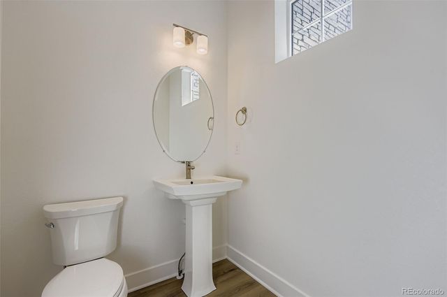 462 Agoseris Way, Castle Rock, CO 80104