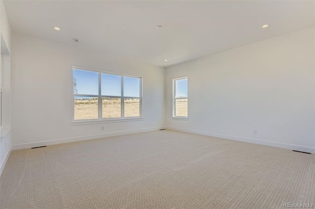 462 Agoseris Way, Castle Rock, CO 80104