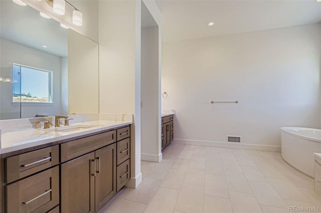 462 Agoseris Way, Castle Rock, CO 80104