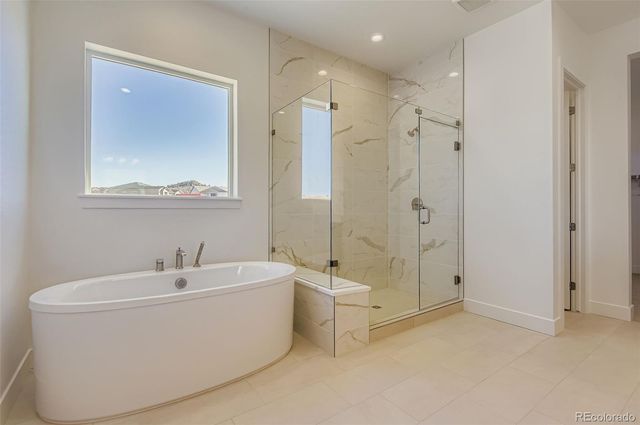 462 Agoseris Way, Castle Rock, CO 80104