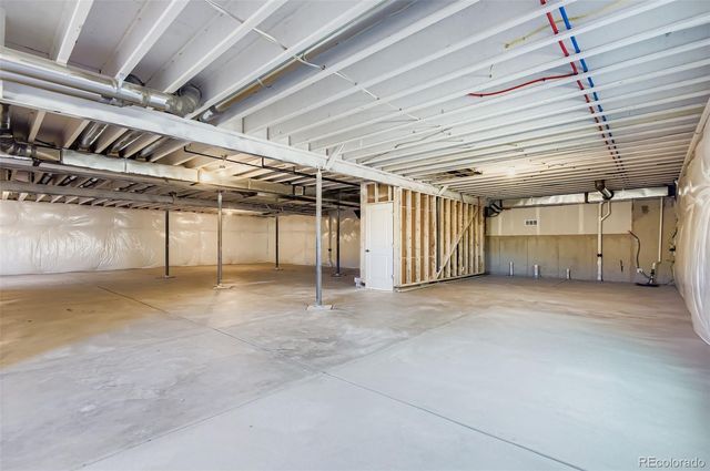 462 Agoseris Way, Castle Rock, CO 80104