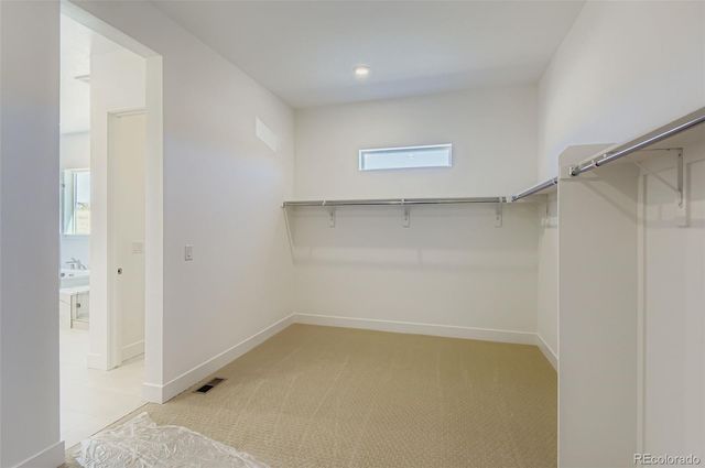 462 Agoseris Way, Castle Rock, CO 80104