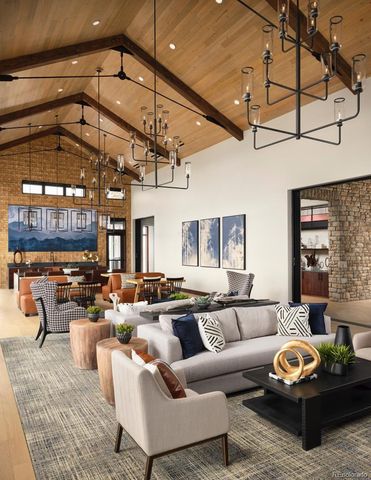 462 Agoseris Way, Castle Rock, CO 80104