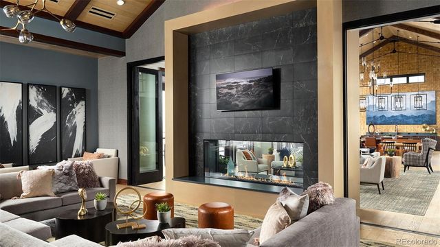 462 Agoseris Way, Castle Rock, CO 80104