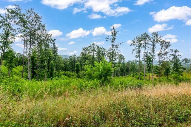 128+20 Oak Park Dr, Talking Rock, GA 30175