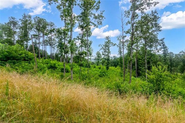 128+20 Oak Park Dr, Talking Rock, GA 30175