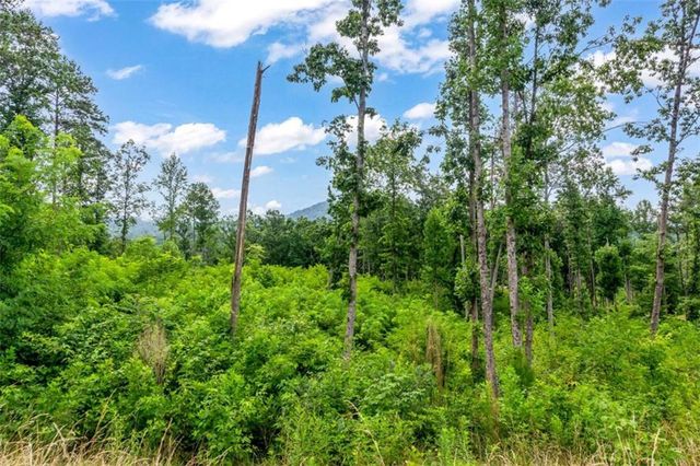 128+20 Oak Park Dr, Talking Rock, GA 30175