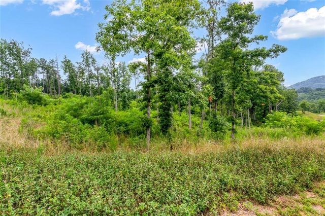 128+20 Oak Park Dr, Talking Rock, GA 30175