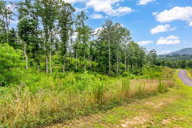 128+20 Oak Park Dr, Talking Rock, GA 30175