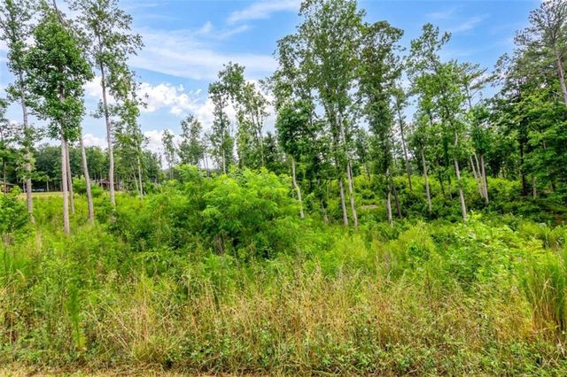 128+20 Oak Park Dr, Talking Rock, GA 30175