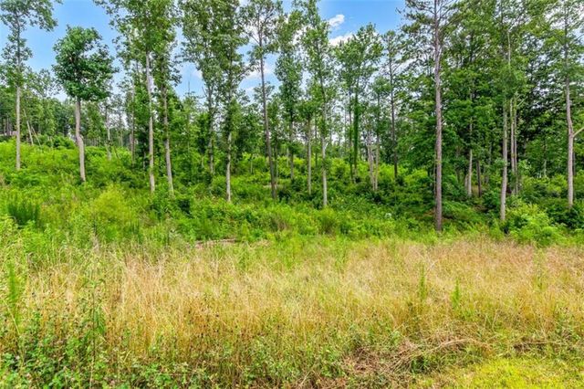 128+20 Oak Park Dr, Talking Rock, GA 30175