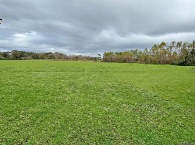 20736 Great Plains Ave, Zachary, LA 70791