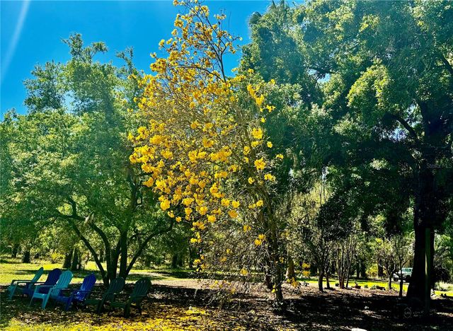 6037 LAKE ERIE ROAD, Groveland, FL 34736