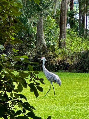 6037 LAKE ERIE ROAD, Groveland, FL 34736