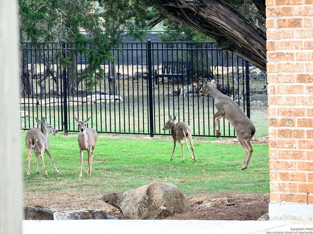 10811 Zedernholz Run, New Braunfels, TX 78132