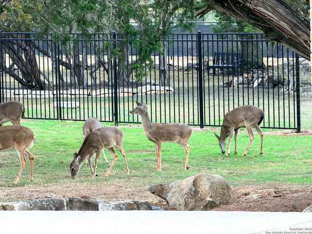 10811 Zedernholz Run, New Braunfels, TX 78132