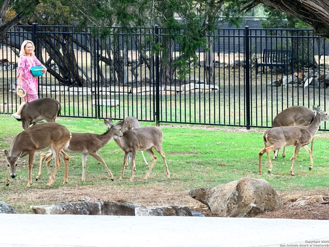 10811 Zedernholz Run, New Braunfels, TX 78132