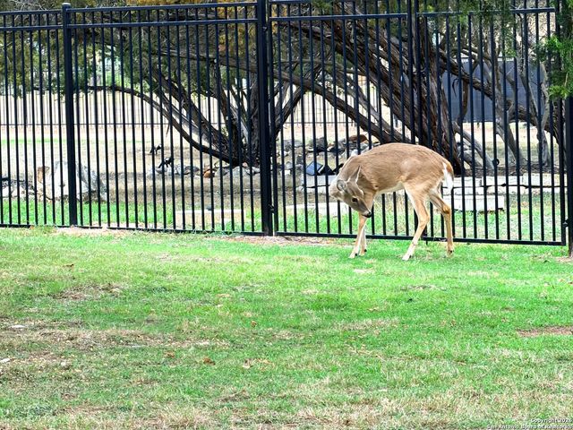 10811 Zedernholz Run, New Braunfels, TX 78132