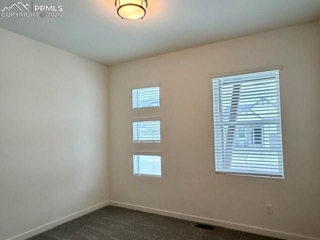 17743 Brass Buckle Way, Monument, CO 80132