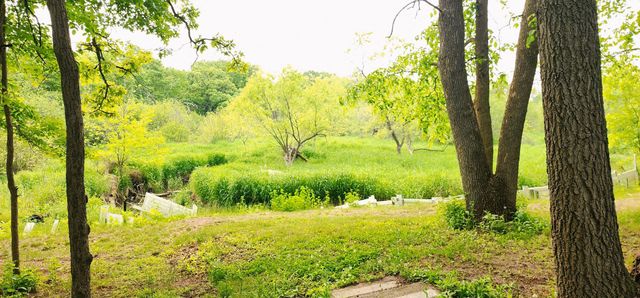 28629 Potomac Street NE, North Branch, MN 55056