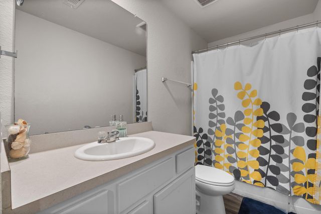 10410 Winter Orchid Way, Houston, TX 77016