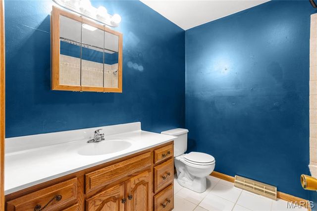 1316 Thomas Drive, Festus, MO 63028