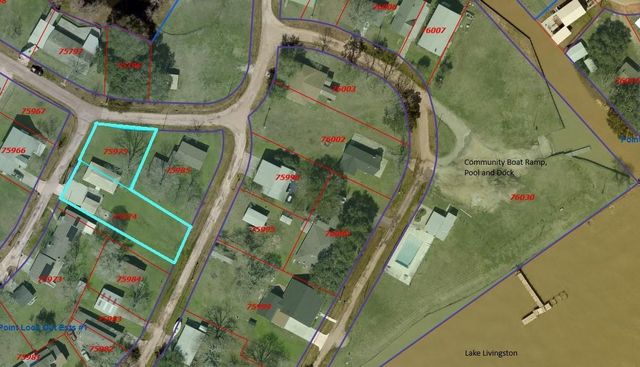 21 Clearview Street, Point Blank, TX 77364