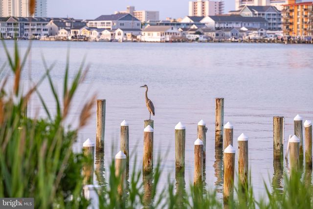 1546 TEAL DR, Ocean City, MD 21842
