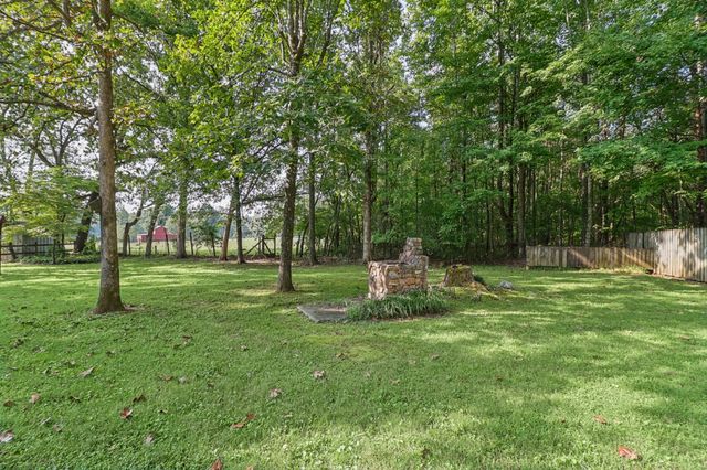448 Sable Road, Spring City, TN 37381