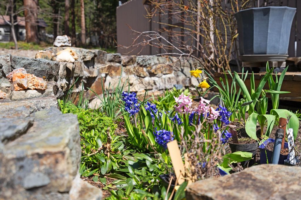 632 Lutheran Camp Road, Lakeside, MT 59922 photo 72