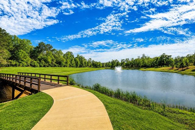 7081 Texas Trace, Montgomery, TX 77316