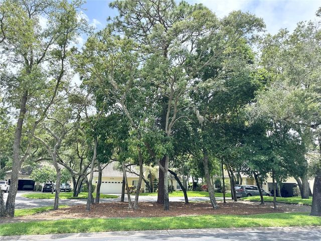 2189 OAK FOREST LANE, Palm Harbor, FL 34683