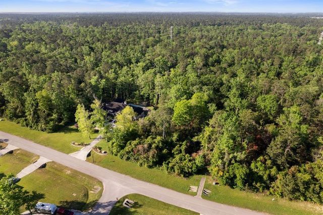 27350 Shady Hills Landing Lane, Spring, TX 77386