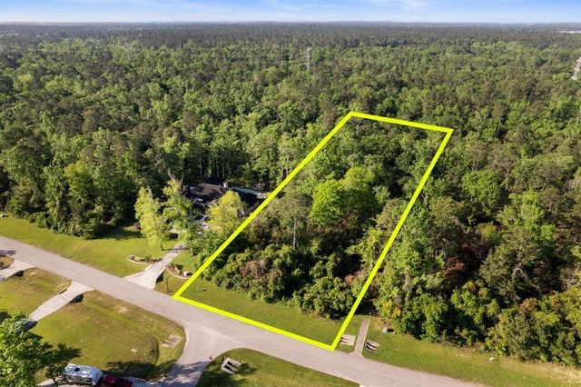 27350 Shady Hills Landing Lane, Spring, TX 77386