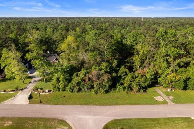 27350 Shady Hills Landing Lane, Spring, TX 77386
