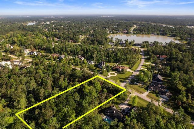 27350 Shady Hills Landing Lane, Spring, TX 77386
