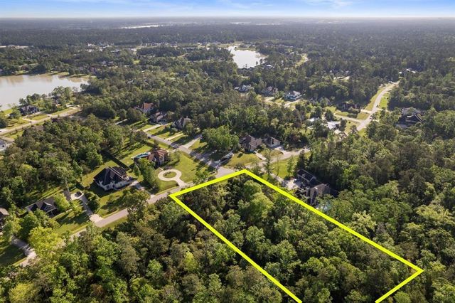 27350 Shady Hills Landing Lane, Spring, TX 77386
