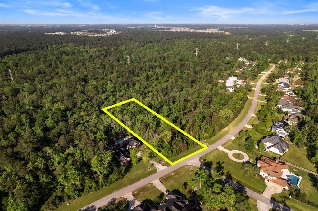 27350 Shady Hills Landing Lane, Spring, TX 77386