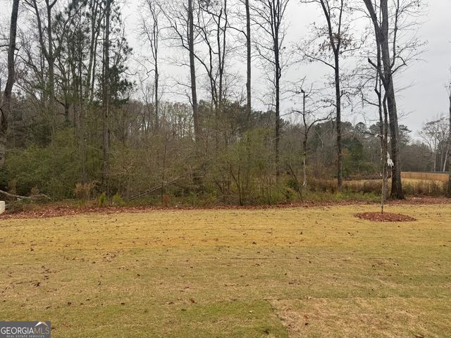 316 Bianca Way 199, Mcdonough, GA 30253