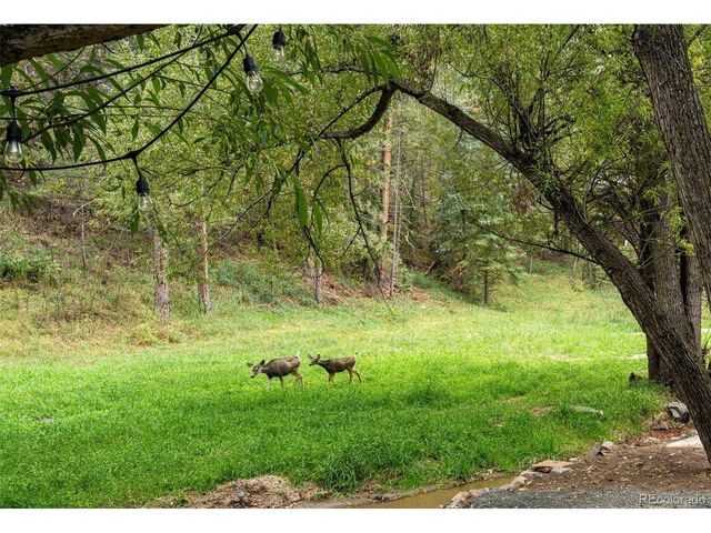 27456 Troublesome Gulch Rd, Evergreen, CO 80439