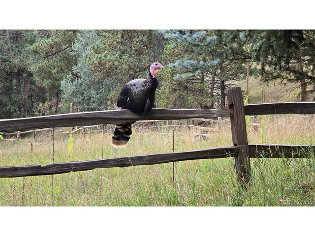 27456 Troublesome Gulch Rd, Evergreen, CO 80439