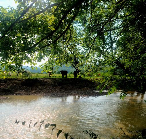 400 Herman Becraft Spur Road, Means, KY 40346