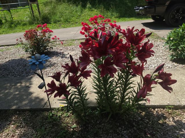 400 Herman Becraft Spur Road, Means, KY 40346