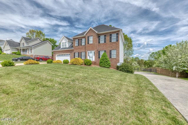264 Southridge Drive, Blountville, TN 37617