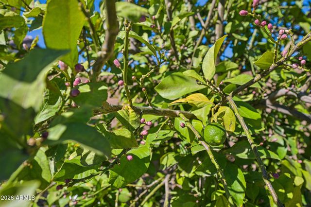 10130 E ORANGE GROVE Street, Florence, AZ 85132