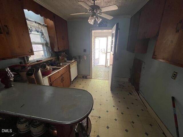 409 Edward Street, Durham, NC 27701