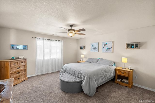 4044 Silver Star Grove, Colorado Springs, CO 80911